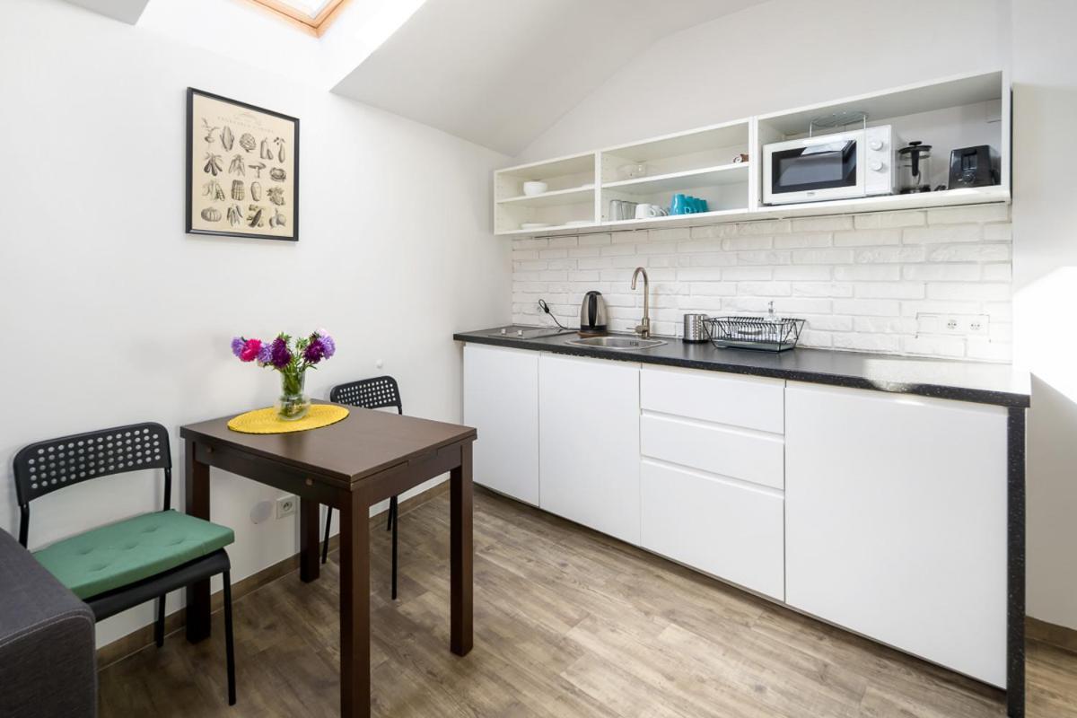 Modern Aparment In The Very Central Location 19 克拉科夫 外观 照片